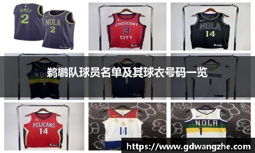 鹈鹕队球员名单及其球衣号码一览