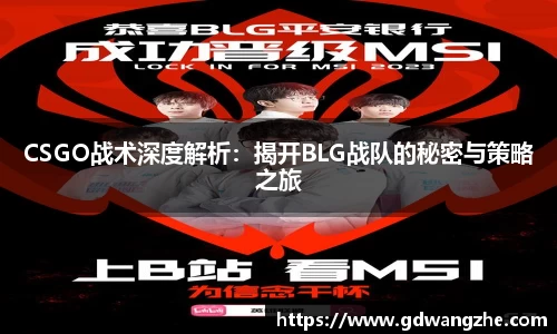 bsports登录入口