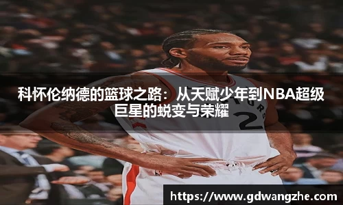 bsports登录入口